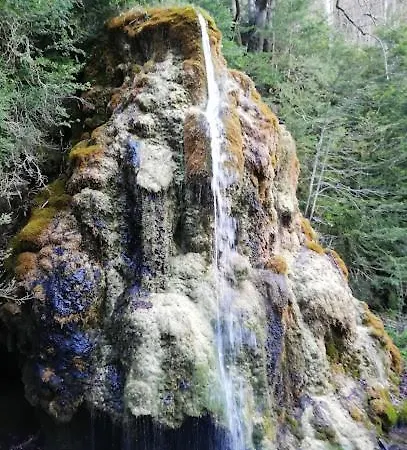 Logis Du Grand Duc Restaurant Hotel