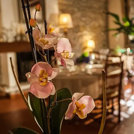 Logis Du Grand Duc Restaurant 3*